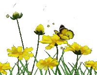 1678701 2a7ce ezgif.com resize